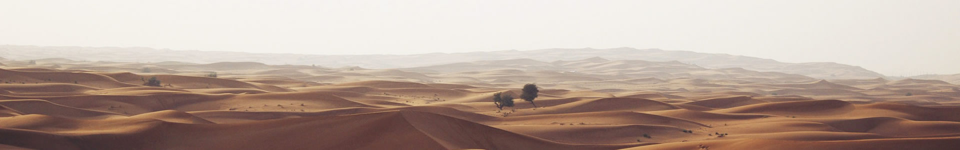 еƼ޹˾
